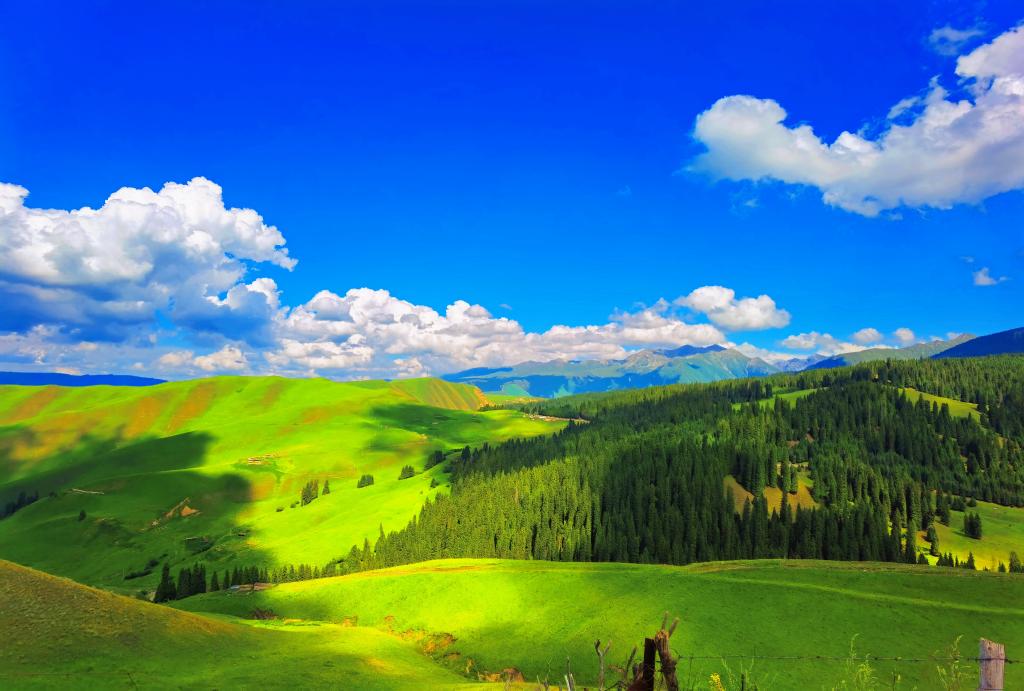 FF8C8144F0849EA6D5413CC1BE9_80570A68_16016